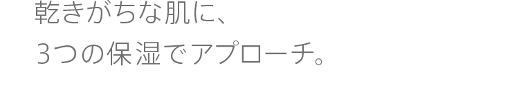 
              ȔɁAR̕ێŃAv[`B
              